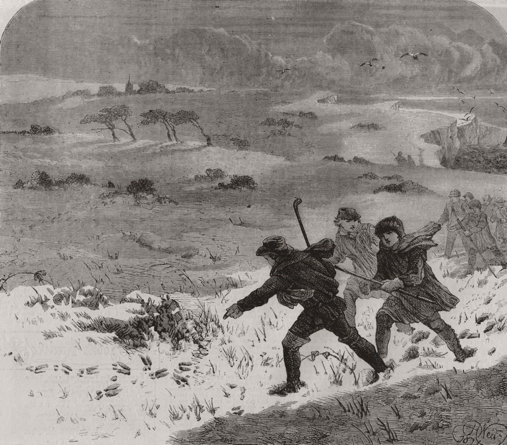 1873 old antique vintage print picture